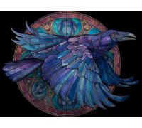 Dipingere con i Numeri Adulti Corvo Animali, Paint by Numbers Kit di Pittura acrilica Fai-da-Te per Bambini Principianti Facile su Tela, Con Vernici e Pennelli Decora 50x70cm Senza Cornice G917