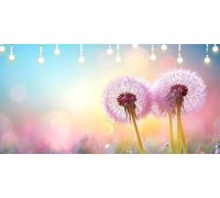 Dipingere con i Numeri Adulti Dente Di Leone Paint by Numbers Sogno DIY Quadri da Dipingere Numerati per Principianti con 3 Pennelli e Vernice Acrilica, Senza Telaio, Regalo Donna 60X168cm L6-1617