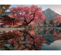 Dipingere con i Numeri Adulti Fiori Di Ciliegio Paint by Numbers Edifici Antichi Colorare con i Numeri Hobby Creativi Adulti con Pennelli Colori Acrilici per Decorazioni Casa 60x45cm -yym2501234
