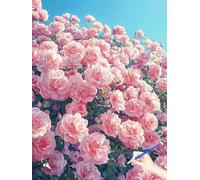 Dipingere con I Numeri Adulti Fiori Paint by Numbers Quadri da Dipingere Numerati Bellezza Hobby Creativi Adulti Cheerful Painting Colorare con I Numeri Regalo Donna Decorazioni Autunnali 40x50cm A-27