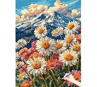 Dipingere con I Numeri Adulti Fiori Paint by Numbers Tele da Dipingere con Numeri Montagna, Fai Da Te Hobby Creativi Adulti Kit di Pittura Painting by Numbers Regalo Donna Decor Parete 40x50cm A-46