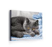 Dipingere con i Numeri Adulti,Gatto grigio Pittura a Olio Fai da Te Kit di Pittura Numeri per Adulti Bambini senza Cornice Paint by Numbers Kit,con Pennelli e Acrilici per Casa Decor Regalo 30x40cm