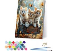 Dipingere con i Numeri Adulti Gatto, Paint by Numbers Farfalla, DIY Quadri da Dipingere numerati con Vernici e Pennelli, Hobby Creativi Adulti, Number Artist, Decorazione Casa Regalo 40x50cm S-8401