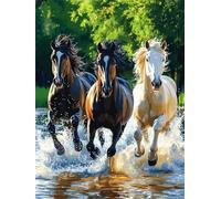 Dipingere con i Numeri Adulti, Paint by Numbers, Dipingere con i Numeri Cavallo Animali, Quadri da Dipingere Numerati Kit con Vernici e pennelli, Dipingi con i Numeri 30x40 cm, Senza Cornice -YH672
