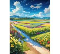 Dipingere con i Numeri Adulti,Percorso del cielo del campo Kit di Pittura su Tela Fai-da-Te per Principianti,40x50cm con 3 Pennelli e Colori aAcrilici Paint by Numbers per Casa Decora con cornice