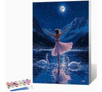 Dipingere con i Numeri Adulti Swan Paint by Numbers fai da te Creativo Adulti, Quadri da Dipingere Numerati Balletto con 3 Pennelli e Vernice Acrilica, Idee Regalo, Decorazioni Casa 30x40cm -WX2510160