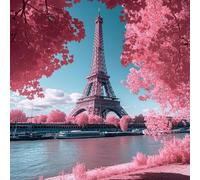 Dipingere con i Numeri Adulti Torre Eiffel, Architettura Dipingi con i Numeri per Principianti, DIY Painting by Numbers Hobby Creativi Adulti, DIY Pittura con 3 Pennelli e Vernice Acrilica, 80X80CM