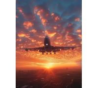 Dipingere con i Numeri Adulti Tramonto, Dipingere con i Numeri Aereo, Paint by Numbers Kit Pittura Adulti con 3 Pennelli e Vernice Acrilica, Hobby Creativi, Quadro Moderno Soggiorno, 50x65 cm J-1493