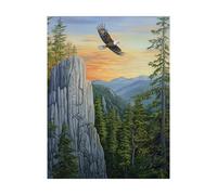 Dipingere con i Numeri Adulti Uccelli Fai da te Hobby Creativi Adulti con Colore Tele per Dipingere Aquila 80x60CM 36 Colori Acrilici e Pennello Pittura,Quadri Moderni Soggiorno Regalo Donna 2YH-13028