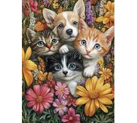 Dipingere Con i Numeri bambini Animali Domestici, Dipingere Con i Numeri Adulti, 40x50cm, Fai Da Te creativo adulti Pigmento Acrilico Pittura, ideale Autunno Signora Regali, Con Cornice Fiori A-98