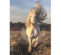 Dipingere Con i Numeri Bambini Cavallo Quadri Da Dipingere Numerati Animale Painting by Numbers Retrò DIYHobby Creativi Adulti per Principianti Regali per le Donne, Decora Con Cornice 60x80cm 3-0A36