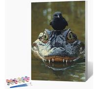 Dipingere Con i Numeri Bambini Coccodrillo Quadri Da Dipingere Numerati Uccelli Painting by Numbers DIY Hobby Creativi Adulti per Principianti Art Kits per Decora Senza Cornice 30x40cm X-TR79