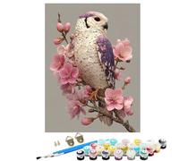 Dipingere con i Numeri Bambini Uccello Fiore Kit fai da Te 36 Acrilici e 3 Pennelli per Principianti Dipingere con i Numeri con Telaio, Hobby Creativi Adulti, Decora la casa Regalo 60 x 80 cm SYLDK101