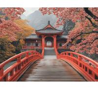 Dipingere con i Numeri Case Dipingere con i Numeri Adulti Edifici Antichi Paint by Numbers, Painting by Numbers Kit Pittura con Pennelli e Colori Acrilici, Decorazioni Parete 50x40 cm -yym25012B3