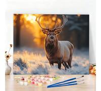 Dipingere con i Numeri Cervo Paint by Numbers Passatempo per Adulti Animale Dipingere con i Numeri Kit Completo con Pennelli e Colori Acrilici,Decorazione Casa, Come Regali,Senza Cornice 30x40cm W6-57