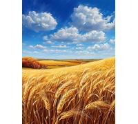 Dipingere con i Numeri Cielo Campo di grano Paint by Numbers, Quadri da Dipingere Numerati Bambini, Passatempo per Adulti Kit Completo, Decora la Casa Regalo, con Vernici e Pennelli 40x50cm M-926