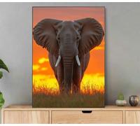 Dipingere con i Numeri Elefante, Tramonto Dipingere con i Numeri Adulti con Cornice, Kit Pittura Adulti Acrilica Fai da Te Creativo Paint by Numbers per Decorazioni Casa Regalo Donna 60x80cm LiE-1823