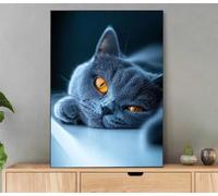 Dipingere con i Numeri Gatto, Animale Dipingere con i Numeri Adulti con Cornice, Kit Pittura Adulti Acrilica Fai da Te Creativo Paint by Numbers per Decorazioni Casa Regalo Donna 100x135cm Li6-672