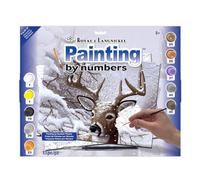 Dipingere con i Numeri, Kit di Pittura Grande per Bambini della Royal, 39 x 28,5 cm, Multicolore