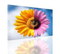 Dipingere con i Numeri Paesaggio Dipingere con i Numeri Adulti Margherita, Hobby Creativi Adulti Principianti Painting by Numbers Tela Kit Craftoria per Autunnali Decorazioni Parete 70x100cm 2y-414