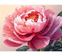 Dipingere con i Numeri Peonia rosa Quadri da Dipingere Numerati, Paint by Numbers Adulti, Colorare con i Numeri Kit Pittura Bambini con Pennelli Pigmento Acrilico Disegno Pittura 40x30cm s-9975