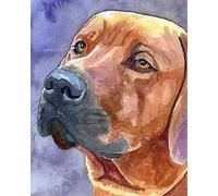 Dipingere con i numeri per adulti e bambini, motivo Rhodesian Ridgeback Animali Cane 40 x 50 cm Tela di lino Acrilico Kit di pittura fai da te con numeri da parete Decorazione da parete - con cornice