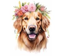 Dipingere con i numeri, per adulti e principianti, con pennello, colori acrilici, kit grande per principianti, tela senza cornice, per regalo e decorazione per la casa, motivo floreale Golden
