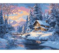 Dipingere con i Numeri,per Adulti e Principianti,Fai Da Te adulti paint by numbers Senza Cornice,Acrilica Kit di Pittura con i numeri su Tela per Decorazione casa 20x30cm(Ponte innevato)