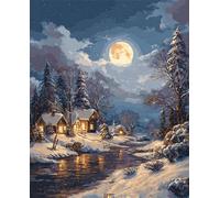 Dipingere con i Numeri,per Adulti e Principianti,Fai Da Te adulti paint by numbers Senza Cornice,Acrilica Kit di Pittura con i numeri su Tela per Decorazione casa 20x30cm(Notti d'inverno)