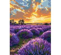 Dipingere con i Numeri per Adulti Lavanda, Fiori Dipingi Con i Numeri Bambini e Adulti Hobby per Figlia 6 7 8 9 anni natale, Figured'art Acrilico Pigmento Disegno con Pennelli Decora la Casa 40x50cm