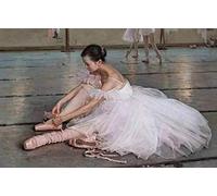 Dipingere con I Numeri Pittura per Adulti Edgar Degas Famoso Dipinto Ballerino Regolazione Scarpe da Ballo Kit di Arte su Tela Pittura A Olio Fai da Te per Principianti