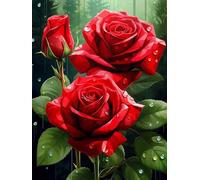Dipingere con i Numeri Rosa Rossa Fiore, Dipingere con i Numeri Adulti Principianti 30x40cm, Paint by Numbers Pittura a Olio con Pennelli Pittura a Pigmento Acrilico Disegno Senza Cornice - PT527