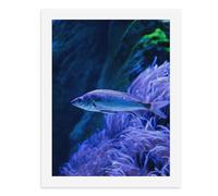 Dipingere con i numeri, un pesce nuota accanto agli anemoni del mare blu, kit per pittura digitale per adulti, crea la tua scena magica, forniture artistiche senza cornice, 40 x 50 cm