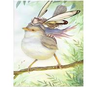 Dipingere dopo i numeri adulti, kit per pittura a olio fai da te, grande kit adatto all'olio per principianti, tela senza pieghe, 40 x 50 cm, animali uccelli e farfalle, senza cornice