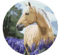 Dipingere secondo i numeri cavallo ovale in lavanda