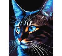Dipingere secondo i numeri Cosmo gatto 40x50 cm