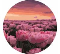 Dipingere secondo i numeri rotondo - Tulipenfeld 40