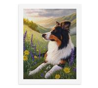 Dipingi coi numeri, un collie colorato in un campo di fiori - 3 kit per pittura digitale per adulti Crea la tua scena magica forniture artistiche senza cornice 40 x 50 cm