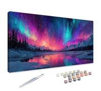 Dipingi con i Numeri Adulti Aurora, Dipingi con i Numeri Colorato Paint by Numbers, DIY Hobby Creativi Adulti Kit con Pennelli e Pittura Acrilica, Decora Della Casa, Regalo Donna/Uomo 35x70 cm 4L-932