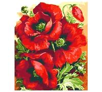 Dipingi con i Numeri per Adulti,Fiori di papavero DIY Paint by Numbers Kits,Kit di Pittura a Olio su Tela per Bambini Principianti con Pennelli e Acrilica Regalo per Decor Casa - senza Cornice,40x50cm