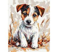 Dipingi con i numeri per adulti - Jack Russell Terrier - Dipingi con i numeri per adulti principianti,Dipingi con i numeri semplice acrilico su tela per decorazione regalo,40x50 cm,con cornice