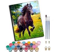 Dipingi con i numeri per adulti nella foresta che corre piccolo cavallo nero, pittura con i numeri per adulti kit di artigianato su tela, pittura ad olio fai da te per rilassarsi e alleviare lo stress