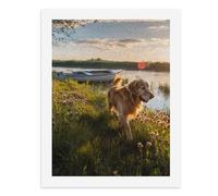 Dipingi con i numeri, un Golden Retriever che cammina lungo il fiume al tramonto, kit per pittura digitale per adulti, crea la tua scena magica forniture artistiche senza cornice, 40 x 50 cm
