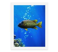 Dipingi con i numeri, un pesce colorato nuota con grazia nell'acqua blu, kit per pittura digitale per adulti, crea la tua scena magica, forniture artistiche senza cornice, 40 x 50 cm