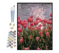 Dipingi per numeri, colore per numero Bellissimi kit artigianali per adulti