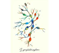 Dipinto Su Tela Vintage, Poster Con Organi Umani, Struttura Medica Colorata, Fiore, Intestino, Cervello, Stampa, Arte Murale Per La Casa, Decorazione Per La Stanza Del Medico, A23 50X70Cm Senza Telaio