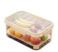 DIPO Outdoor Ice Preservation Box, Portable Snack Tray with Handle, Portable Double Layer Fruit Storage Holder for Camping, Picnic (Beige)