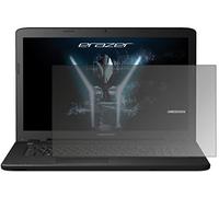 dipos I Protezione Vista Compatibile con Medion Erazer P6689 Pellicola Prottetiva Privacy 4 Modi