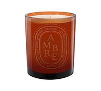 Diptyque Ambre Candela Profumata 300 g