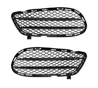 DIQXLGS Griglia Aspirazione Cornice Per Fendinebbia Paraurti Anteriore Copertura Per Presa D'aria Per Mercedes Per Benz CLS C218 CLS260 300 2015-2017 AMG DIQXLGS